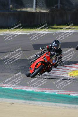 media/Mar-17-2024-Fastrack Riders (Sun) [[c7d6f8c14c]]/Level 2/Turn 6/